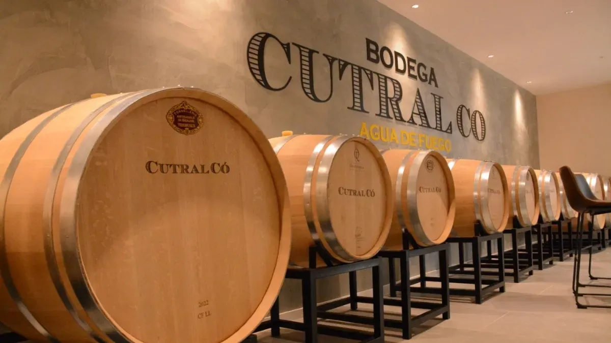 Bodega Cutral Co y sala de barricas en Cutral Co, Neuquén