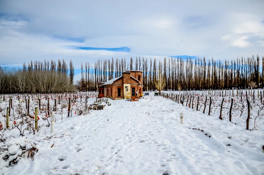 Bodega Des de la Torre cubierta por la nieve durante el invierno en Chos Malal, Norte Neuquino