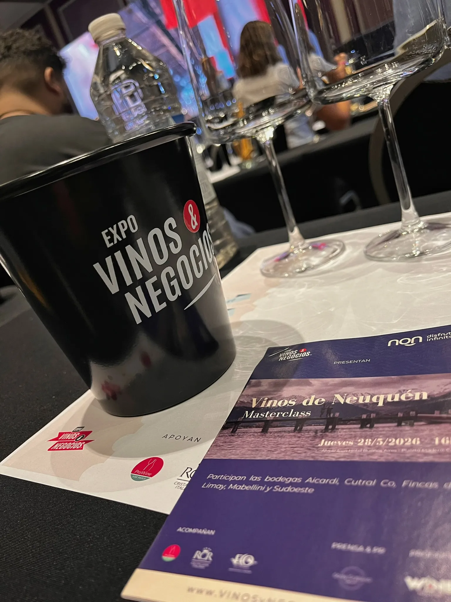Cata técnica de vinos neuquinos durante la masterclass Vinos de Neuquén en Expo Vinos & Negocios 2026