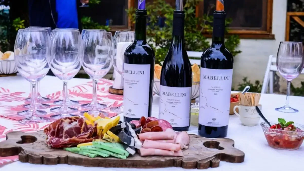 Botella de Mabellini Wines en viñedo de Neuquén, Patagonia argentina