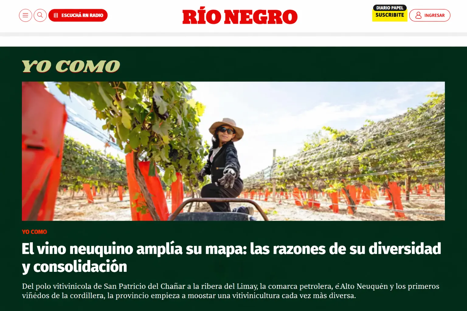 El vino neuquino amplía su mapa - nota en Diario Río Negro por Sergio Landoni