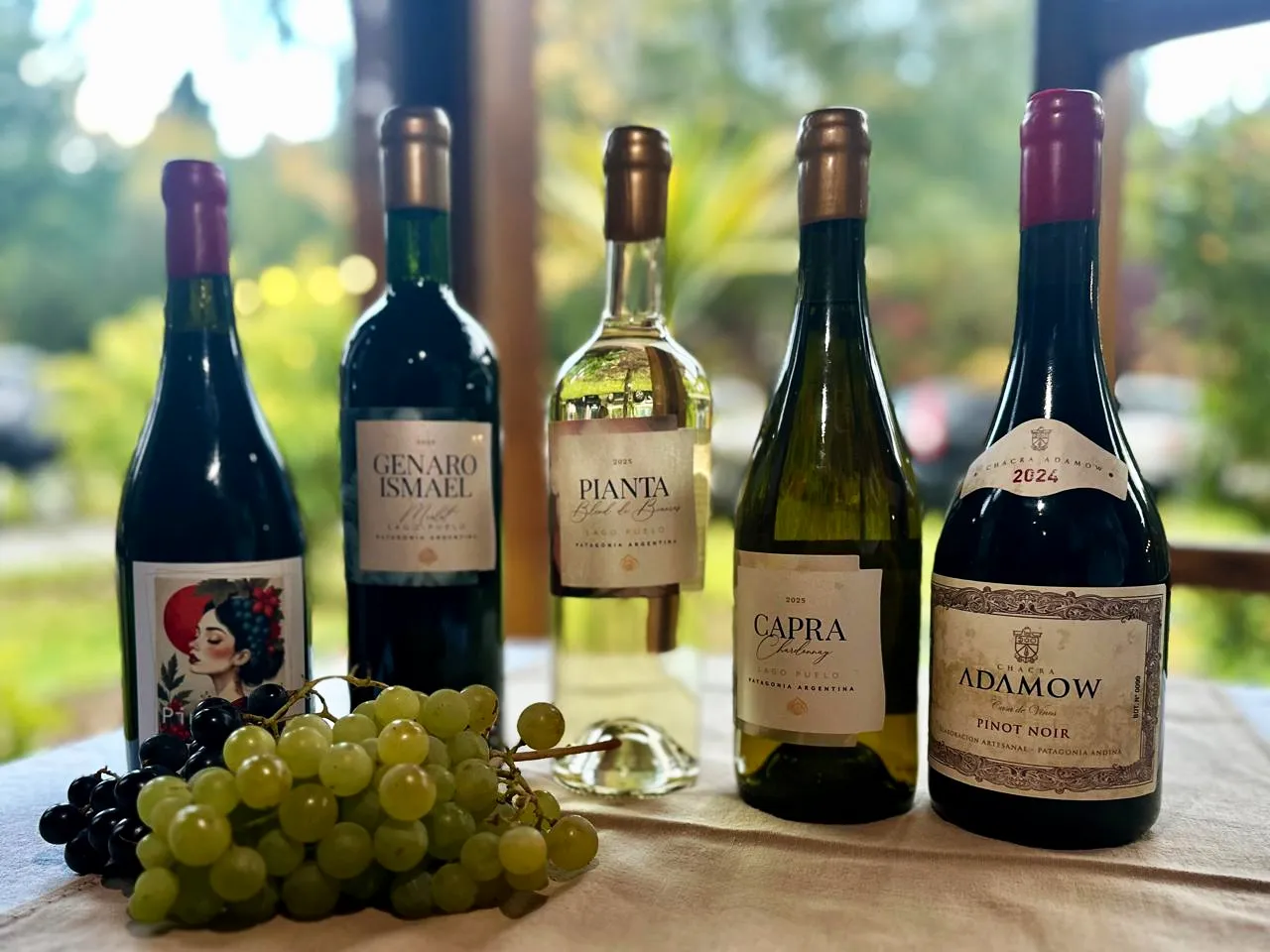 Degustación de vinos de Lago Puelo en Linaje Hotel Boutique & Relax, Chubut